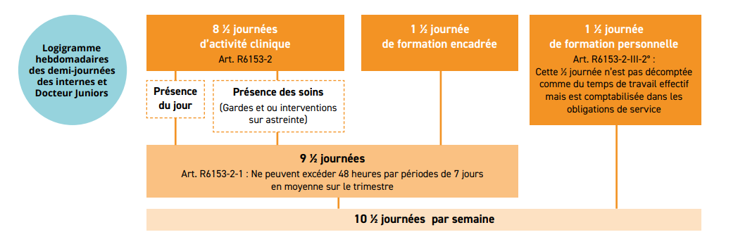 Logigramme temps de travail des internes et docteurs juniors